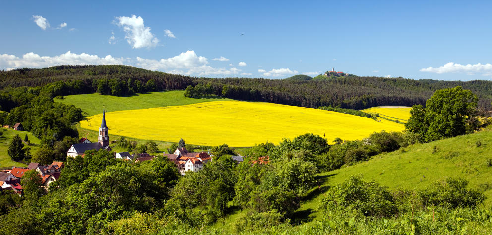 Heidelmann GmbH für Jena, das Weimarer Land & Burgenlandkreis